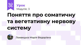 Поняття про соматичну та вегетативну нервову систему