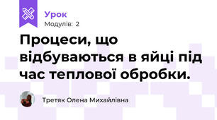 Процеси, що відбуваються в яйці під час теплової обробки. 