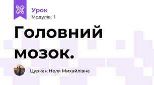 Головний мозок.