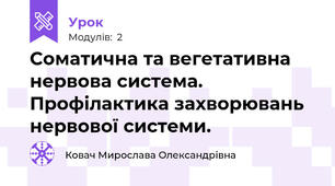  Соматична та вегетативна нервова система. Профілактика захворювань нервової системи.