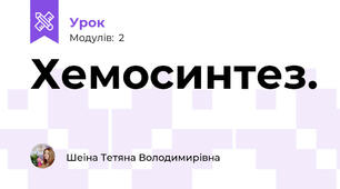 Хемосинтез.