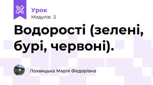 Водорості (зелені, бурі, червоні). 
