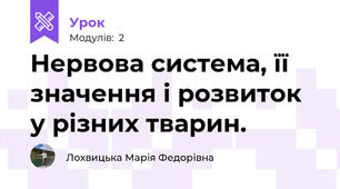 Нервова система, її значення і розвиток у різних тварин. 