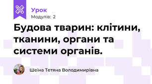 Будова тварин: клітини, тканини, органи та системи органів.