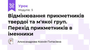 Відмінювання прикметників твердої та м'якої груп. Перехід прикметників в іменники