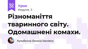 Різноманіття тваринного світу. Одомашнені комахи.