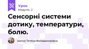 Сенсорні системи дотику, температури, болю.