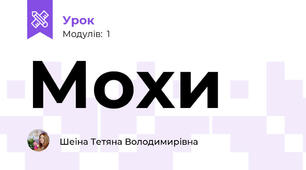 Мохи