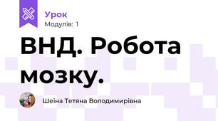 ВНД. Робота мозку. 
