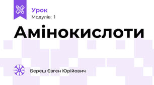 Амінокислоти