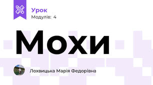 Мохи