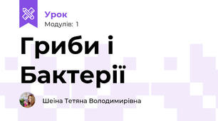 Гриби і Бактерії