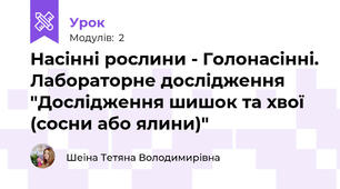 Насінні рослини - Голонасінні. Лабораторне дослідження "Дослідження шишок та хвої (сосни або ялини)"