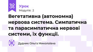 Вегетативна (автономна) нервова система. Симпатична та парасимпатична нервові системи, їх функції.