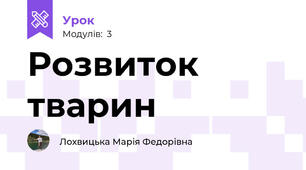 Розвиток тварин