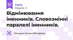 Відмінювання іменників. Словозмінні паралелі іменників.