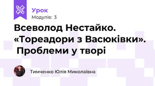 Всеволод Нестайко. «Тореадори з Васюківки».  Проблеми у творі