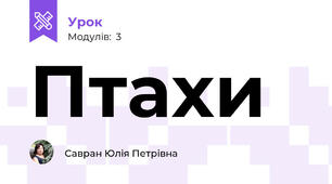 Птахи