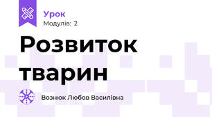  Розвиток тварин