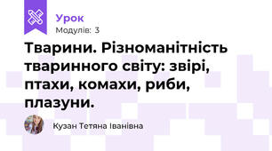 Тварини. Різноманітність тваринного світу: звірі, птахи, комахи, риби, плазуни.