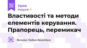 Властивості та методи елементів керування. Прапорець, перемикач