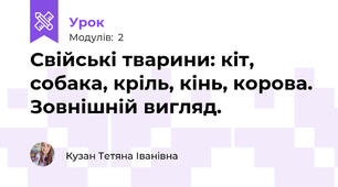 Свійські тварини: кіт, собака, кріль, кінь, корова.  Зовнішній вигляд.