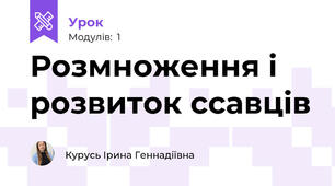 Розмноження і розвиток ссавців