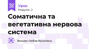 Соматична та вегетативна нервова система