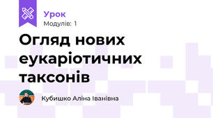 Огляд нових еукаріотичних таксонів