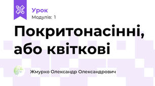 Покритонасінні, або квіткові