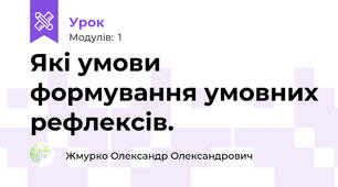 Які умови формування умовних рефлексів.