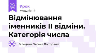 Відмінювання іменників ІІ відміни. Категорія числа