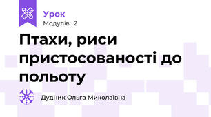 Птахи, риси пристосованості до польоту