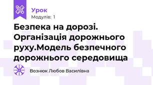 Безпека на дорозі. Організація дорожнього руху.Модель безпечного дорожнього середовища
