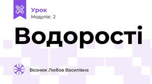  Водорості