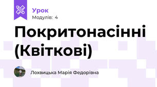 Покритонасінні (Квіткові)