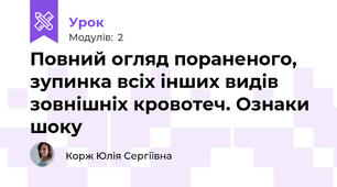 Повний огляд пораненого, зупинка всіх інших видів зовнішніх кровотеч. Ознаки шоку