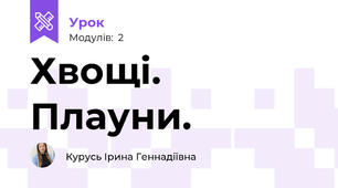Хвощі. Плауни.