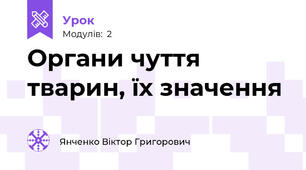 Органи чуття тварин, їх значення