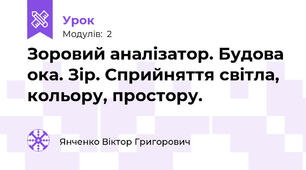 Зоровий аналізатор. Будова ока. Зір. Сприйняття світла, кольору, простору.