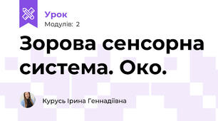 Зорова сенсорна система. Око.