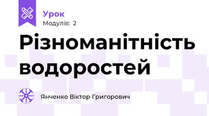 Різноманітність водоростей