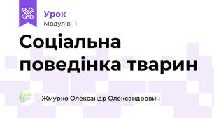Соціальна поведінка тварин