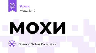  мохи 