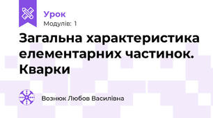 Загальна характеристика елементарних частинок. Кварки