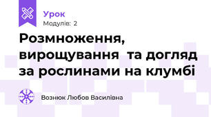  Розмноження, вирощування  та догляд за рослинами на клумбі