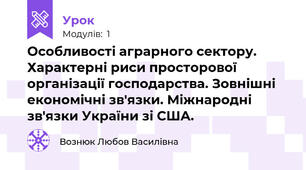 Особливості аграрного сектору. Характерні риси просторової організації господарства. Зовнішні економічні зв'язки. Міжнародні зв'язки України зі США.
