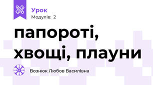 папороті, хвощі, плауни 
