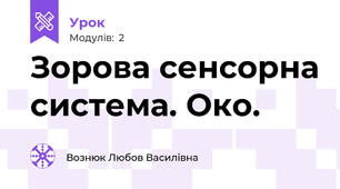  Зорова сенсорна система. Око. 