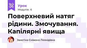 Поверхневий натяг рідини. Змочування. Капілярні явища